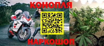 стаф Свободный