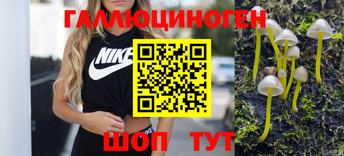 Новокубанск  Псилоцибиновые грибы мицелий  Вход с VPN 