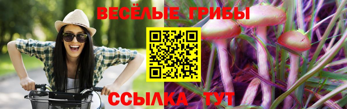 Псилоцибиновые грибы ЛСД Новокубанск